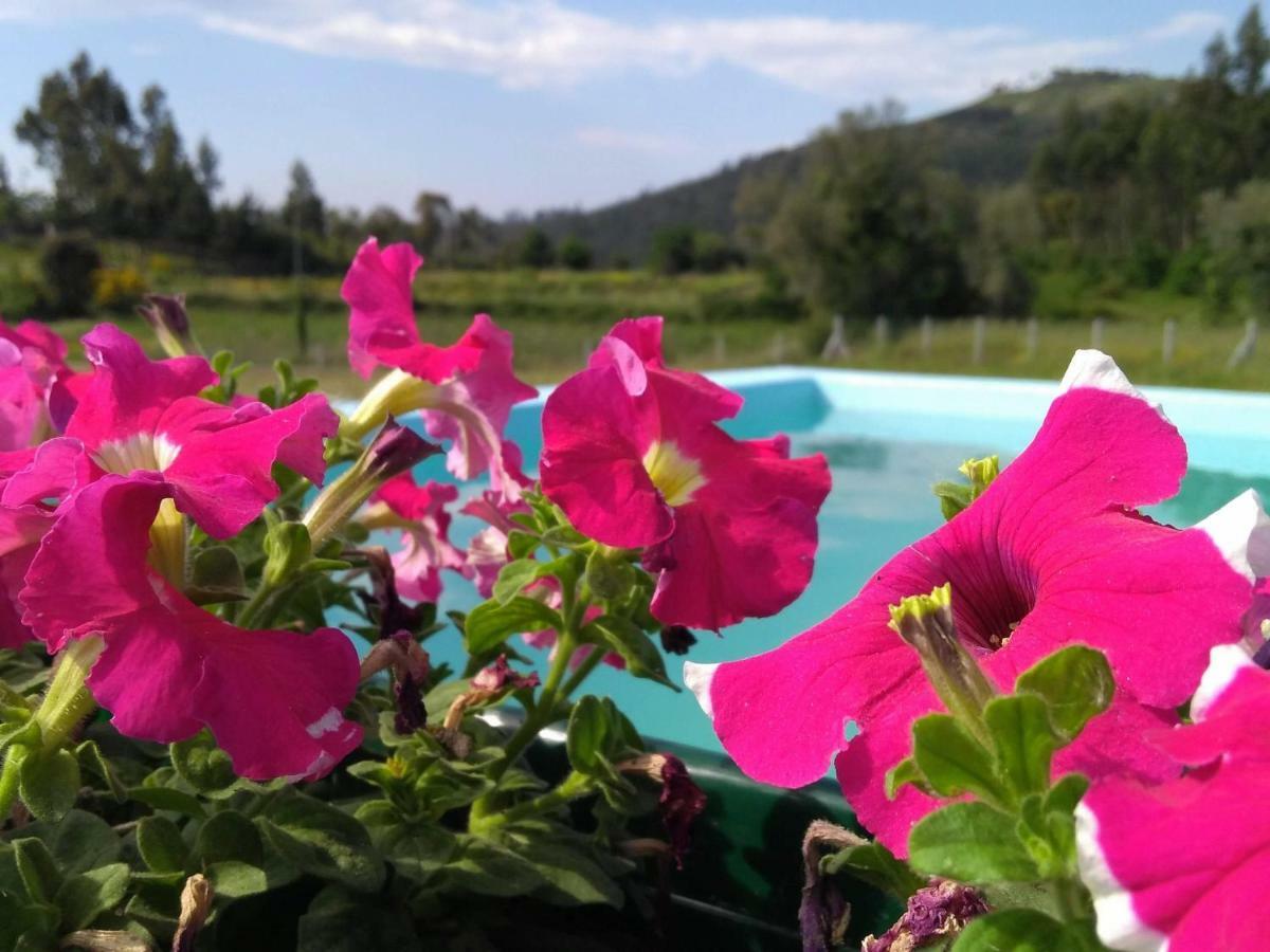 발렌사 Casa Do Pinheiro Manso 빌라 외부 사진