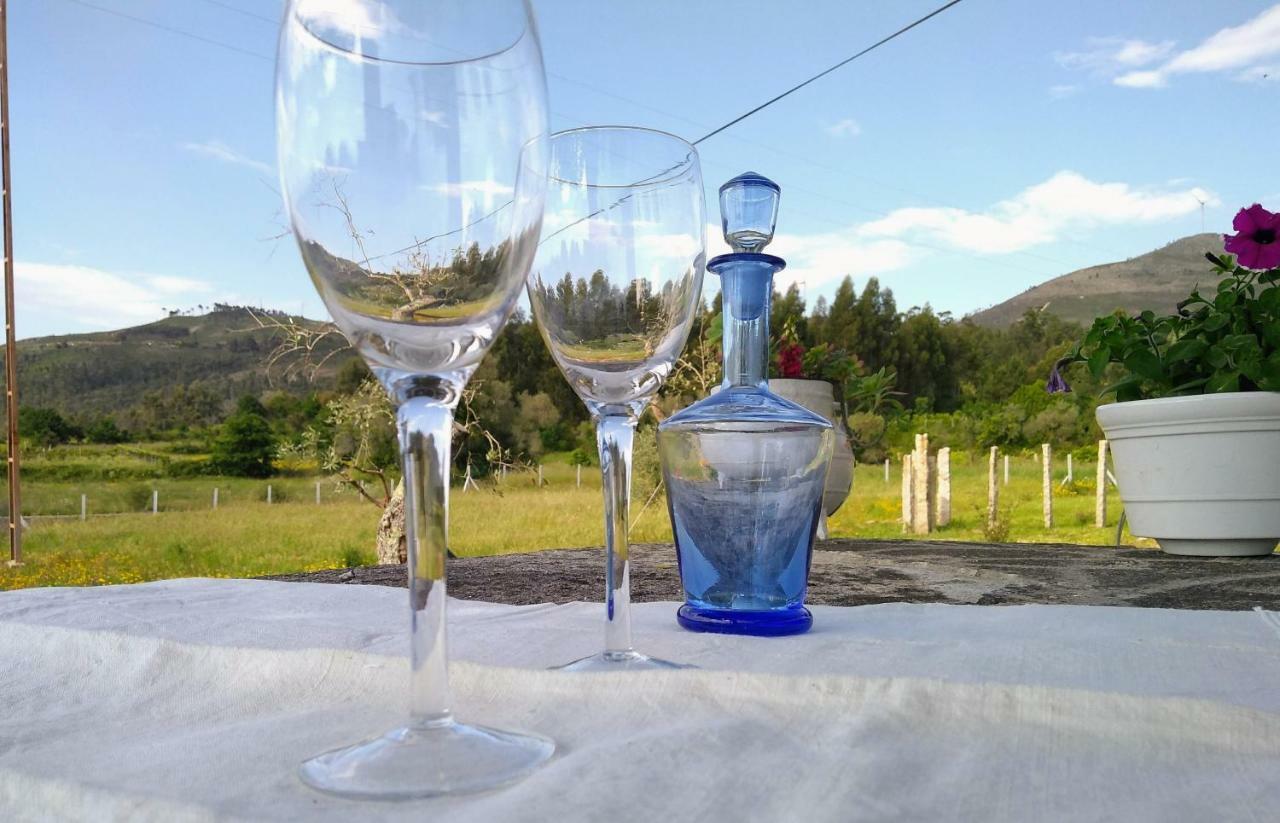 발렌사 Casa Do Pinheiro Manso 빌라 외부 사진